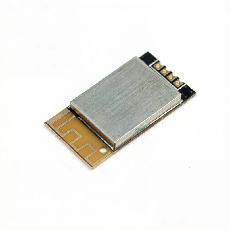 BL36主从一体模块 BL36主从一体模块